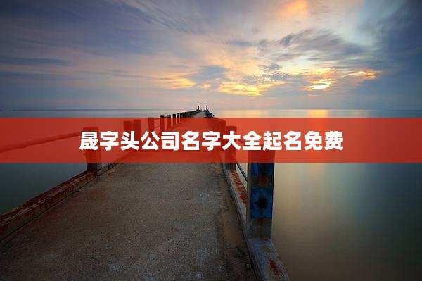 晟字头公司名字大全起名免费