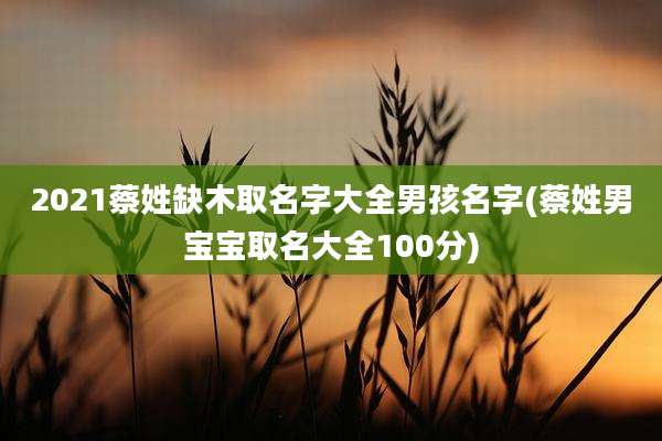 2021蔡姓缺木取名字大全男孩名字(蔡姓男宝宝取名大全100分)