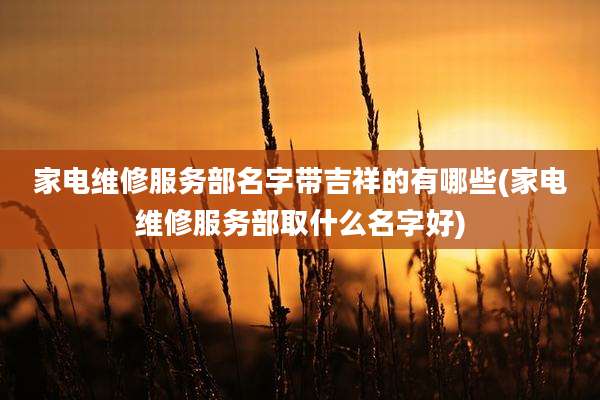 家电维修服务部名字带吉祥的有哪些(家电维修服务部取什么名字好)