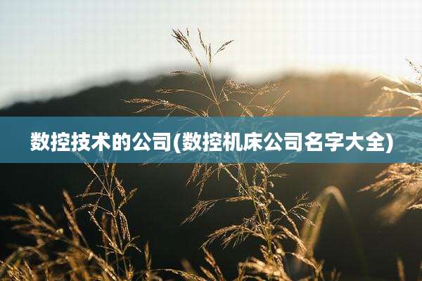 数控技术的公司(数控机床公司名字大全)