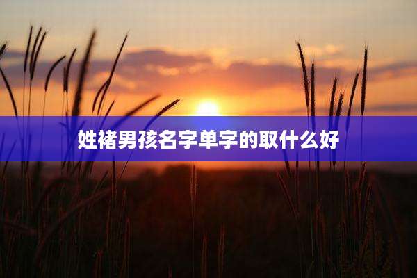 姓褚男孩名字单字的取什么好