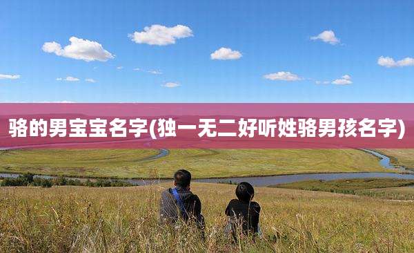 骆的男宝宝名字(独一无二好听姓骆男孩名字)