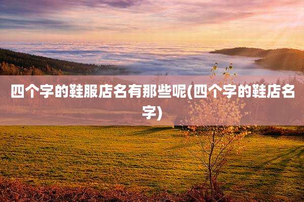 四个字的鞋服店名有那些呢(四个字的鞋店名字)