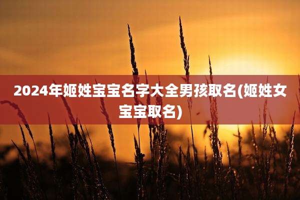 2024年姬姓宝宝名字大全男孩取名(姬姓女宝宝取名)