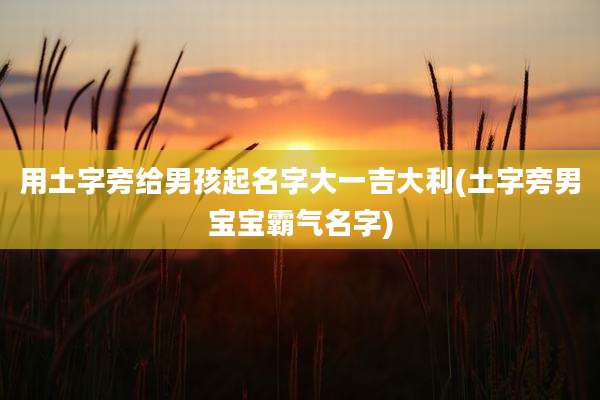 用土字旁给男孩起名字大一吉大利(土字旁男宝宝霸气名字)