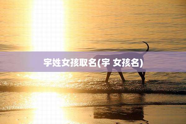 宇姓女孩取名(宇 女孩名)