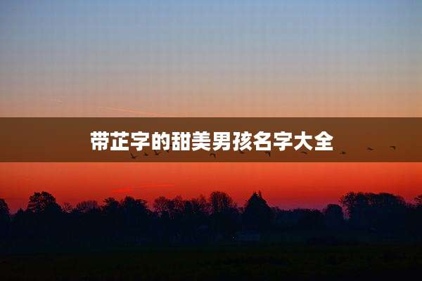 带芷字的甜美男孩名字大全