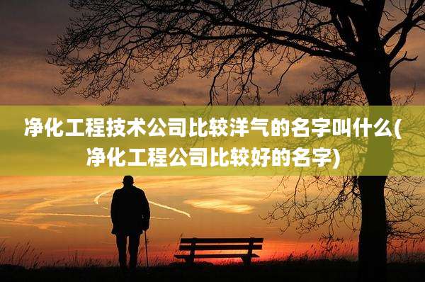 净化工程技术公司比较洋气的名字叫什么(净化工程公司比较好的名字)
