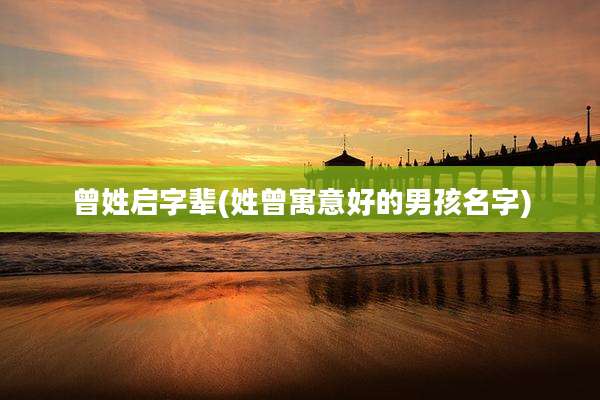 曾姓启字辈(姓曾寓意好的男孩名字)