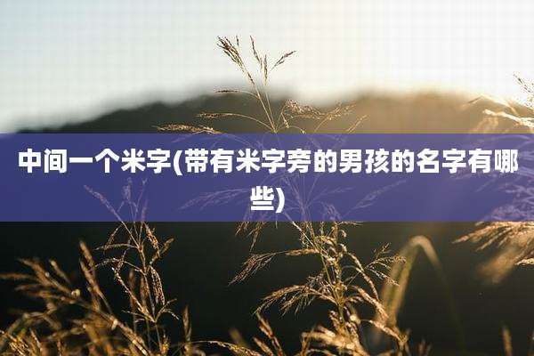 中间一个米字(带有米字旁的男孩的名字有哪些)