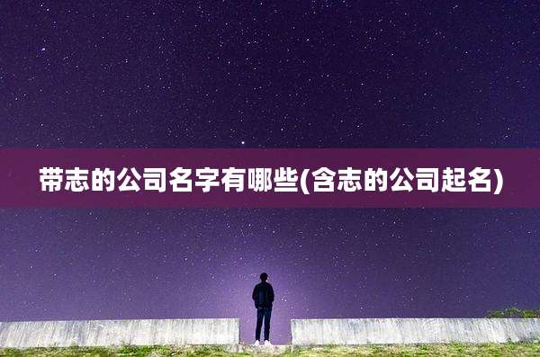 带志的公司名字有哪些(含志的公司起名)