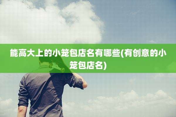 能高大上的小笼包店名有哪些(有创意的小笼包店名)