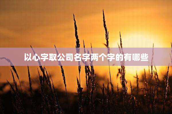 以心字取公司名字两个字的有哪些