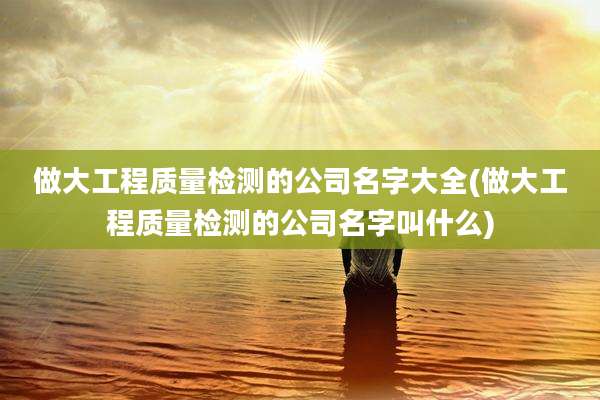 做大工程质量检测的公司名字大全(做大工程质量检测的公司名字叫什么)