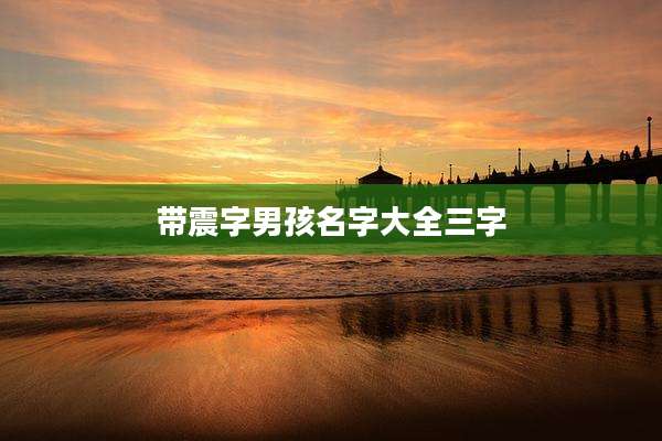 带震字男孩名字大全三字