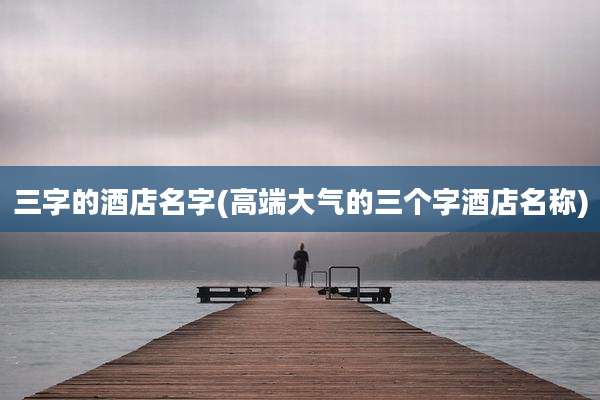 三字的酒店名字(高端大气的三个字酒店名称)