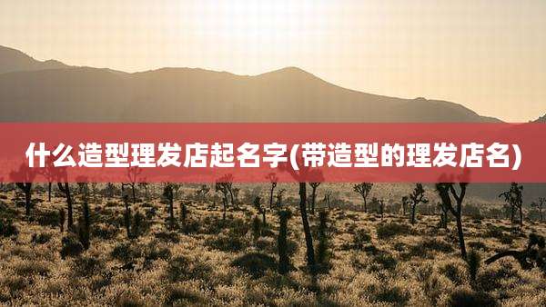 什么造型理发店起名字(带造型的理发店名)