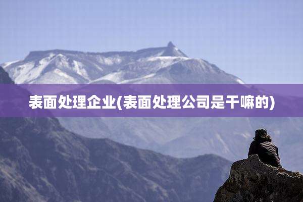 表面处理企业(表面处理公司是干嘛的)