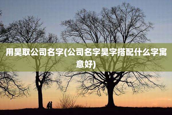 用昊取公司名字(公司名字昊字搭配什么字寓意好)
