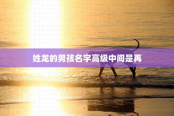 姓龙的男孩名字高级中间是再