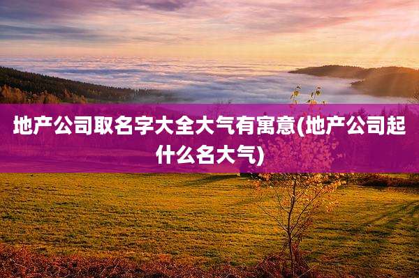 地产公司取名字大全大气有寓意(地产公司起什么名大气)
