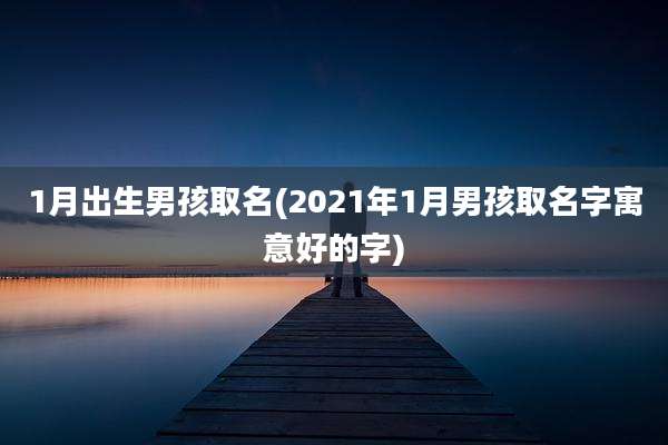 1月出生男孩取名(2021年1月男孩取名字寓意好的字)