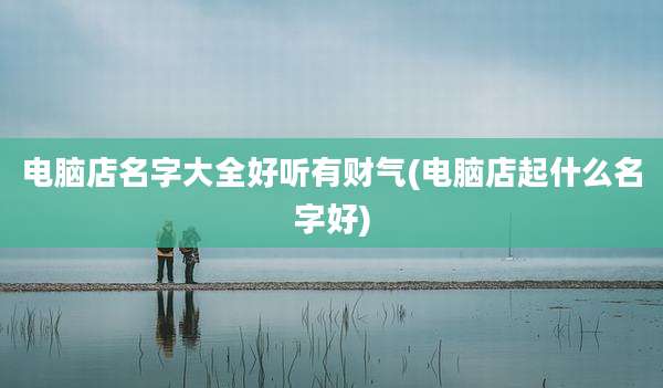 电脑店名字大全好听有财气(电脑店起什么名字好)
