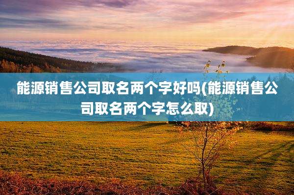 能源销售公司取名两个字好吗(能源销售公司取名两个字怎么取)