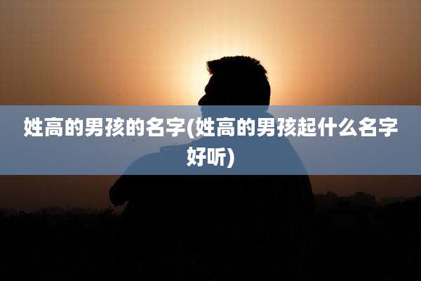 姓高的男孩的名字(姓高的男孩起什么名字好听)