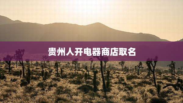 贵州人开电器商店取名