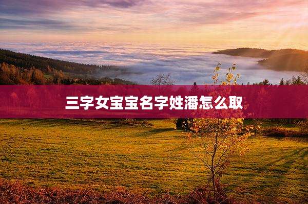 三字女宝宝名字姓潘怎么取