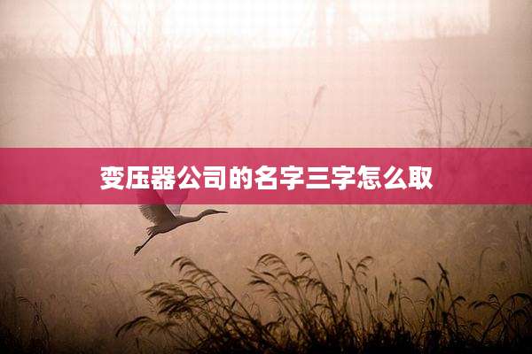 变压器公司的名字三字怎么取