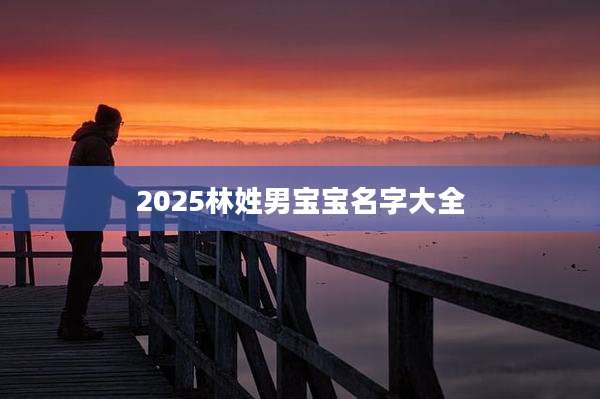 2025林姓男宝宝名字大全
