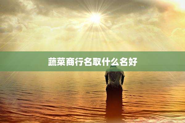 蔬菜商行名取什么名好