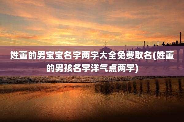 姓董的男宝宝名字两字大全免费取名(姓董的男孩名字洋气点两字)