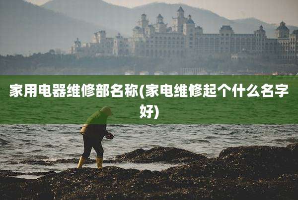 家用电器维修部名称(家电维修起个什么名字好)