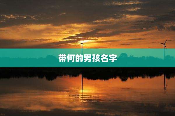 带何的男孩名字
