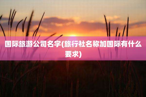 国际旅游公司名字(旅行社名称加国际有什么要求)