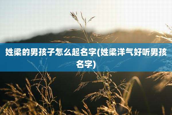 姓梁的男孩子怎么起名字(姓梁洋气好听男孩名字)