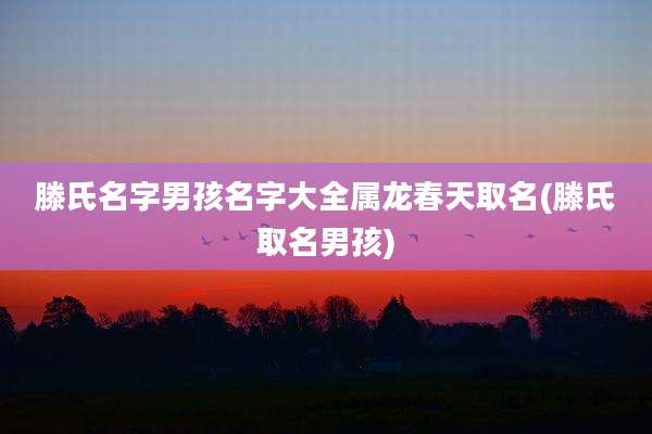 滕氏名字男孩名字大全属龙春天取名(滕氏取名男孩)
