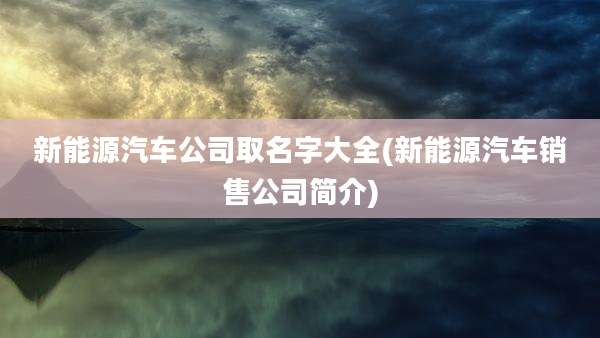 新能源汽车公司取名字大全(新能源汽车销售公司简介)