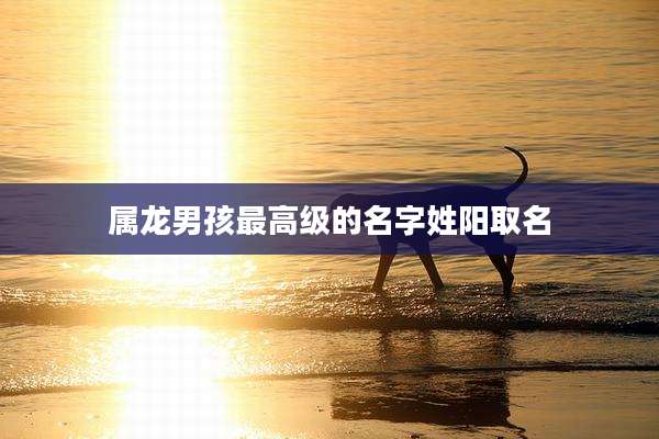 属龙男孩最高级的名字姓阳取名
