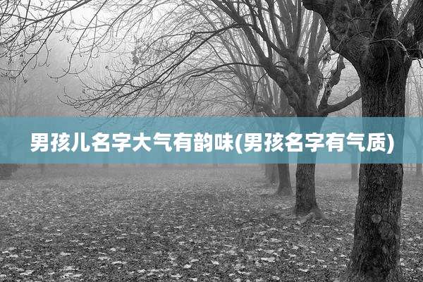男孩儿名字大气有韵味(男孩名字有气质)