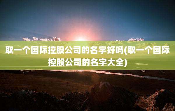 取一个国际控股公司的名字好吗(取一个国际控股公司的名字大全)