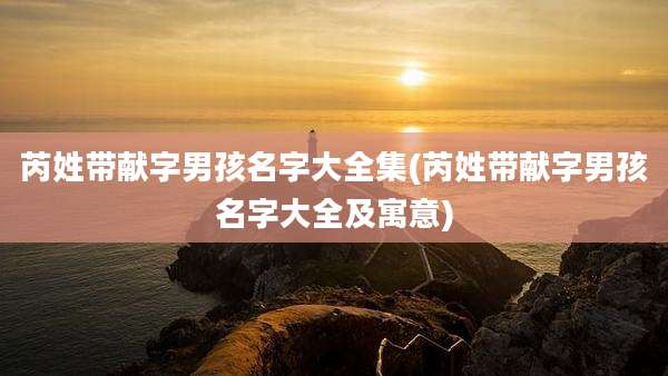 芮姓带献字男孩名字大全集(芮姓带献字男孩名字大全及寓意)