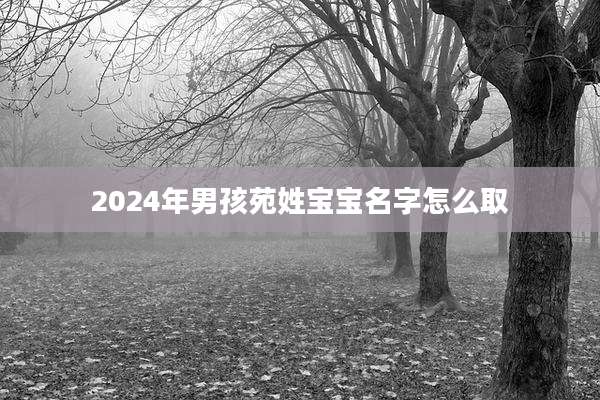 2024年男孩苑姓宝宝名字怎么取