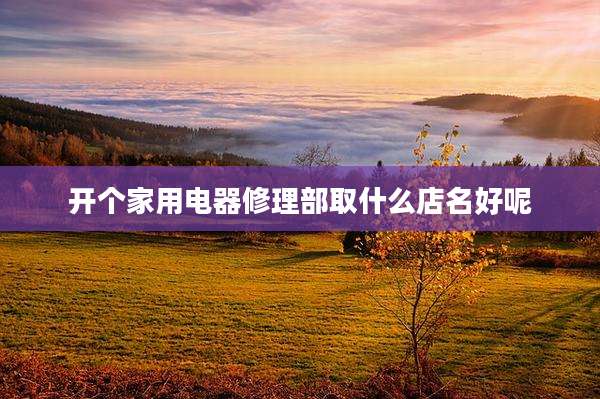 开个家用电器修理部取什么店名好呢