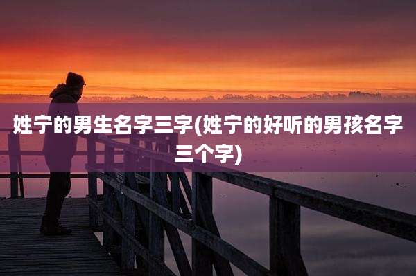姓宁的男生名字三字(姓宁的好听的男孩名字三个字)