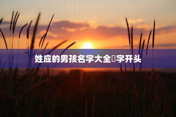 姓应的男孩名字大全昇字开头