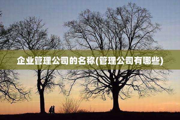 企业管理公司的名称(管理公司有哪些)